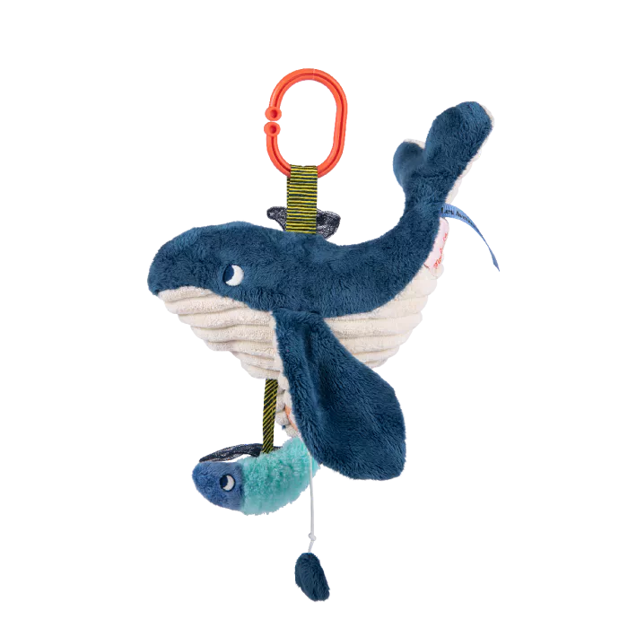 Baleine musicale – Les aventures de Paulie